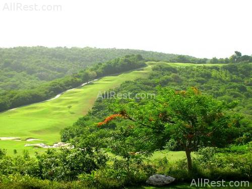 Ritz-Carlton Golf & Spa Resort 127